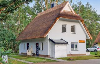 Reetdachhausschilf-Idyll - Kutzow - 4