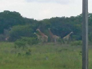 Moony’s Chalets & Camping - 8