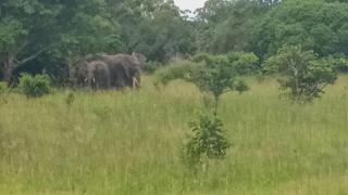 Moony’s Chalets & Camping - Catembe - 6