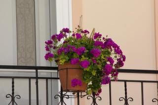 Andrianna Apartments - 4