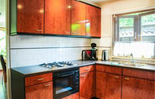 Chalet 46 - Hattemerbroek - 6