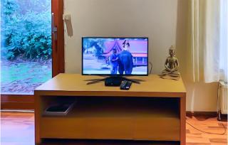 Chalet 46 - Hattemerbroek - 4