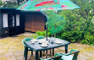 Chalet 46 - Hattemerbroek - 3