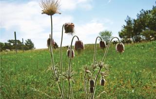 Holiday Home Katthammarsvik 21 - 6