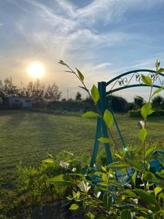 Green Oasis - 3