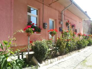 Center Park Apartment - Cluj-Napoca - 0
