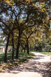Bergdale Cottages - Hazyview - 8
