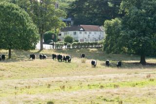 Afbeelding van de locatie