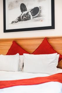Bergdale Cottages - Hazyview - 7