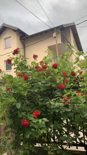 Saray House Sarajevo - 7