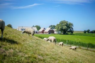 Ferienwohnung 1 "Gut Tossens" - 1