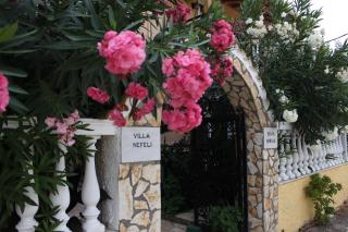 Nefeli Apartment 1st Floor - Agios Georgios - 9