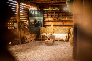 Panorama Glamping Visole - Slovenska Bistrica - 2