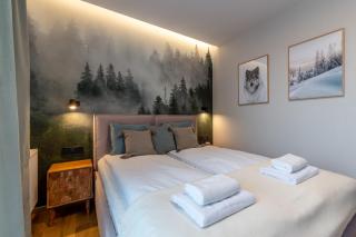 SZARY WILK Apartament Szczyrk - Szczyrk - 9