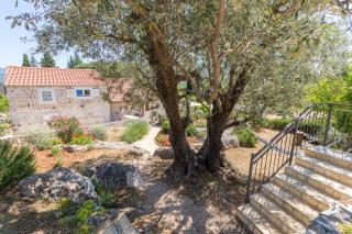 Olive Garden Apartment - Ston - 9