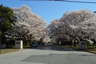 ゆうゆう布佐駅新築戸建Free Wifi - 8