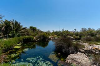 Residence Jolly Mare - Torre Lapillo - 4