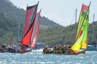 Bougainvillea de rêve - Sainte-Anne - 9