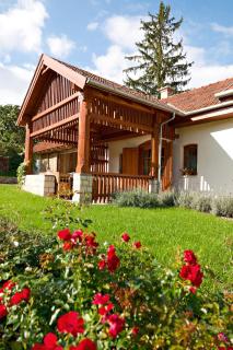 Barta Pince Vendégház Mád - 5