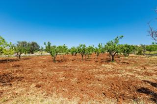 Villa Cucunci by BarbarHouse - 4