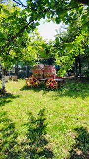 Семеен хотел Свети Георги - 7