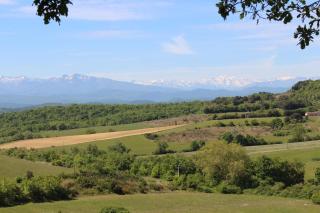 Domaine de la Trille - 3