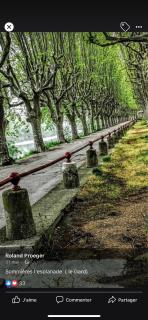 La sommieroise - Sommières - 8