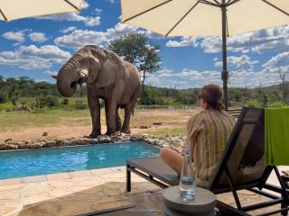 Ongava Tented Camp - Okaukuejo - 8