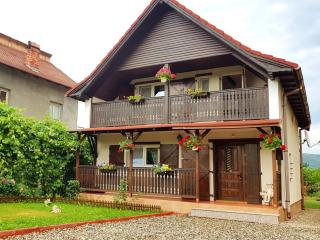 Casa Ursului - 0