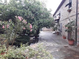 Il Fico di Cortona - 4