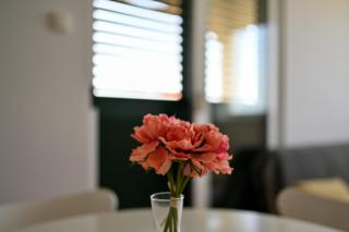 Apartmani Frleta - Bibinje - 4