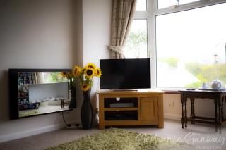 Penzance, private annexe with beautiful views. - Ludgvan - 7