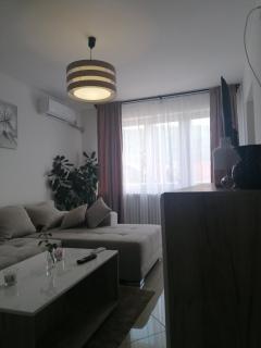 Apartmani Bambi Sokobanja - 8