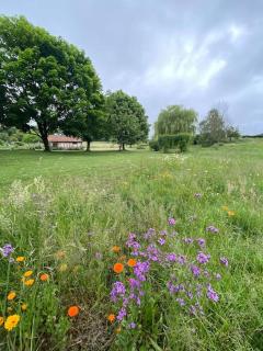 Spacious country house in Normandie - Moulins-le-Carbonnel - 6