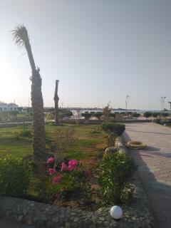Dolphin Continental Hotel - Quseir - 2