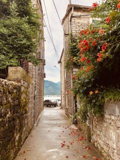 Guesthouse Giraffe - Tivat - 4