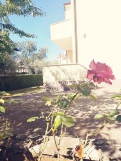 Apartman Novigrad Istra - Novigrad - 6