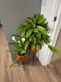 Peak Willow Apartments - Leek - 6