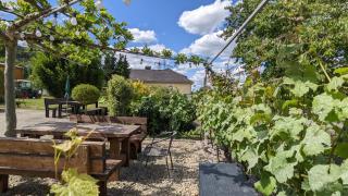 Weingut Harald Ludwig - Osann-Monzel - 4