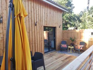 Lodge 2 étoiles la tête dans les pins les pieds dans l eau - Lacanau - 1