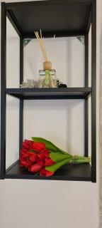Case di Paola via Crisanzio - Bari - 5
