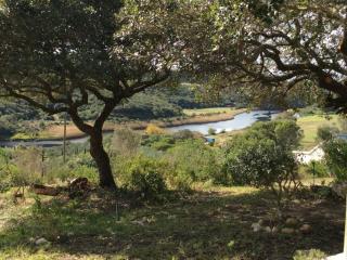 Long Thin Farm - Stilbaai - 9