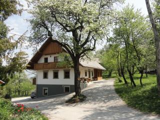 Farm Stay Dolinar Krainer - Bohinjska Bela - 0