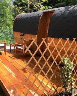 Campeggio il Bosco - 1