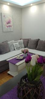 Apartman Harmonija Vrnjačka Banja - Vrnjačka Banja - 9