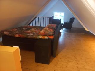 B&B De Kaagse Boer - 1