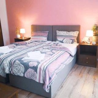 Istrian house Mojca - Capodistria - 1