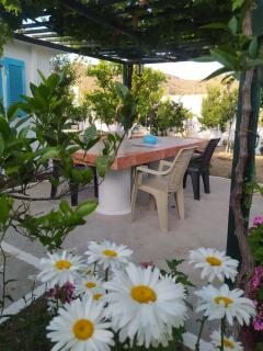 PERIVOLI 1-CHORA(5min away from the center by car) - Agkidia - 6