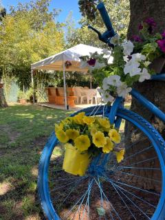 Appartamento in Villa con giardino vicino al mare - Bella Farnia - 9