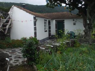 Adega do Batista - Calheta - 2